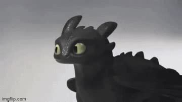 https://imgflip.com/gif-maker/435844546/Confused-Toothless - Imgflip