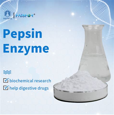 High purity Medicine grade 1:10000 pepsin - Baoding Faithful Industry Co., Ltd.