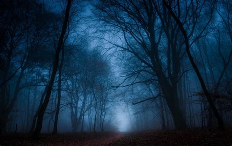 Dark Trees Wallpapers - Wallpaper Cave