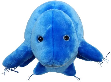 Giant Microbes Plush - Waterbear (Tardigrade) | Knick Knack Toy Shack