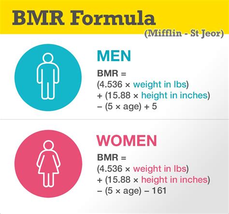 Mifflin St Jeor Equation For Pregnancy - Tessshebaylo