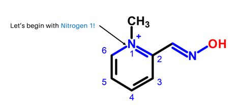 Pralidoxime – Duluth Labs