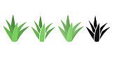 Imagen gratis: Cactus, hoja, planta, hierba, espina, verde