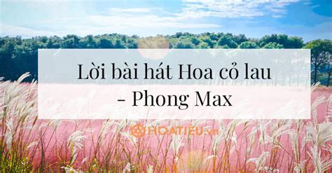 Lời bài hát Hoa cỏ lau - Phong Max - Hoa cỏ lau lyrics - HoaTieu.vn