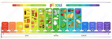 PH scale chart, acid balance of nutrition measure meter and food ...