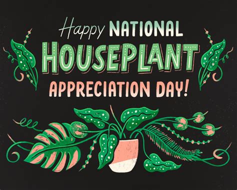 "National Houseplant Appreciation Day" | Postcards | Blue Mountain