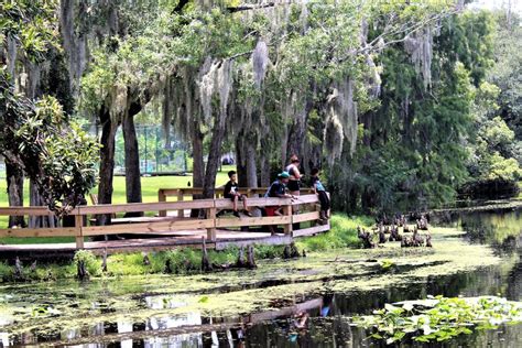 15 Best Things to Do in Temple Terrace (FL) - The Crazy Tourist