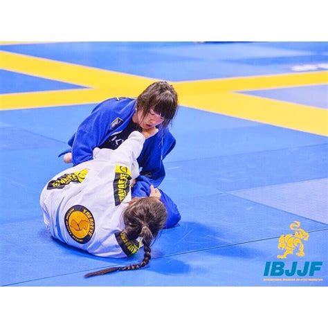 Principles in Brazilian Jiu-Jitsu - Savarese BJJ