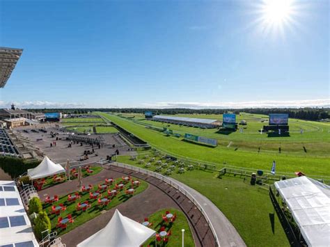 Ladies Day - Betfred St Leger Festival