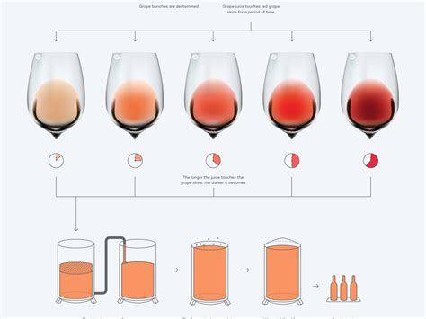 What Is Rosé: Quick Guide To Pink Wine | Wine Folly