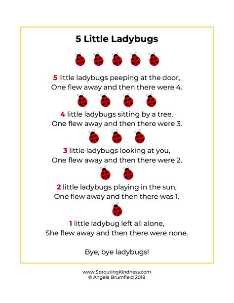 How to Make a Ladybug Habitat and Why Your Kids Need One - Sprouting Kindness