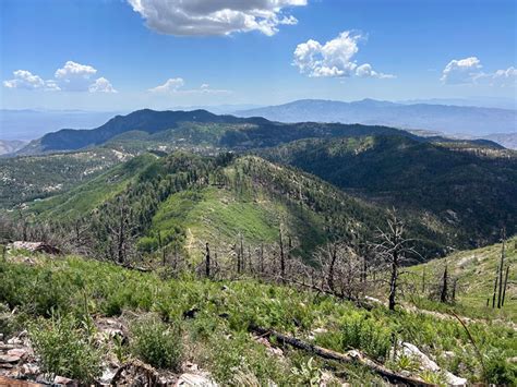 Hike Lemmon Loop for views and a refreshing swim - WildPathsAZ