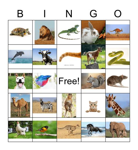 Animal Bingo Card