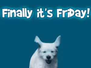 Finally Its Friday Dog Puppy Jumping GIF - FinallyItsFridayDog ...