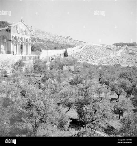 Church of the Agony also known as Church of All Nations opposite the ...