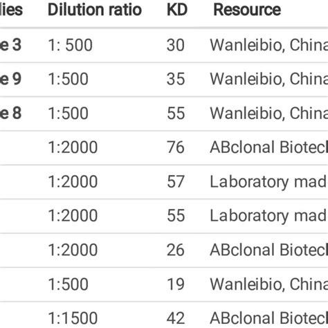 Antibodies used for Western blot. | Download Scientific Diagram