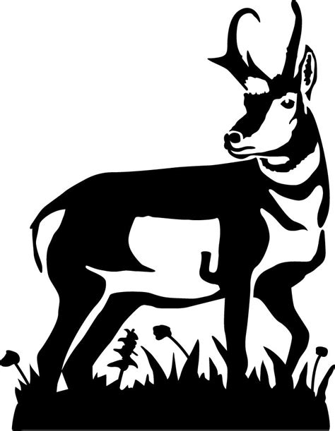 Pronghorn Antelope Detail Wall Decal | Animal stencil, Animal stencil art, Silhouette art