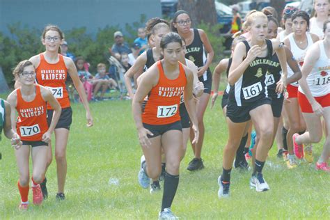 Harriers ready for upcoming district races | Clay Today