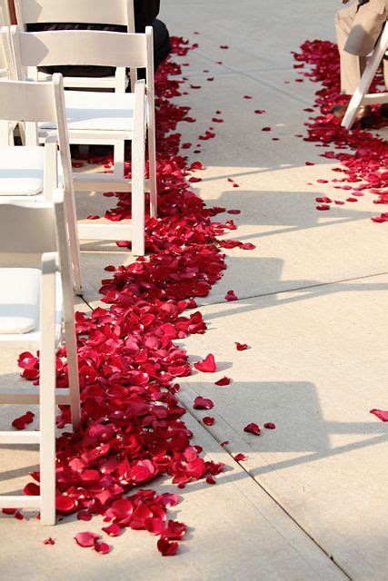 Red Rose Petals Along an Outdoor Aisle at the Renee Kelly Caenen Castle ...