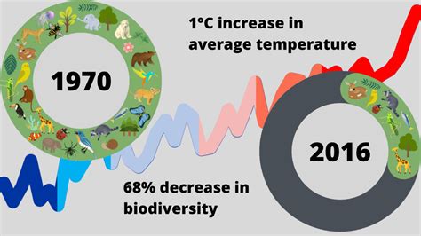 Climate change and biodiversity need to be tackled in tandem to effect ...