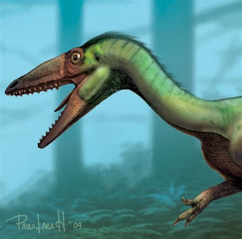 Coelophysis bauri head by PREHISTOPIA on DeviantArt