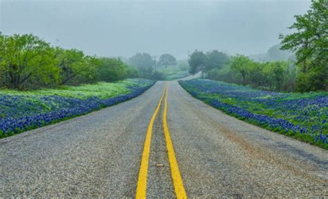 3 Breathtaking Drives You Must Take in the Texas Hill Country