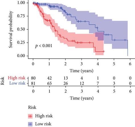 Performance of ERG-based classifier (ERC). (a, b) Layout of risk scores ...