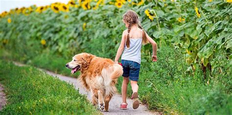 Good Dog Breeds for Kids | Cadet Pet