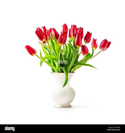 Red tulip flowers in vintage porcelain vase. Single object isolated on white background clipping ...