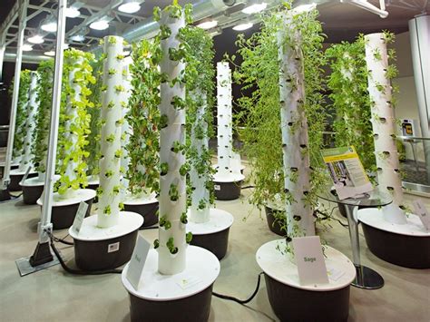 Vertical farming is going to feed us all | The New Economy