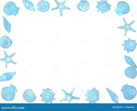 Seashell border stock illustration. Illustration of summery - 382756