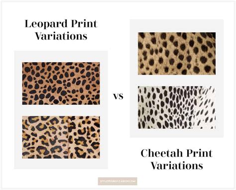 Cheetah Print vs Leopard Print - The Difference + Chic Outfits!