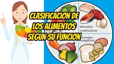 CLASIFICACIÓN DE LOS ALIMENTOS SEGÚN SU FUNCIÓN /APRENDE EN CASA - YouTube