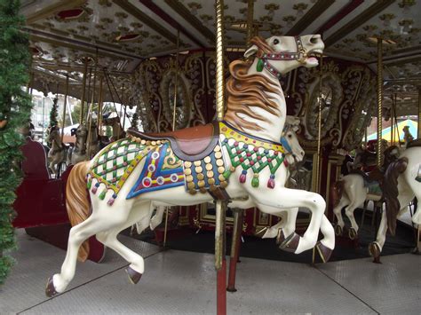 Carousel Horse - Lois Elsden