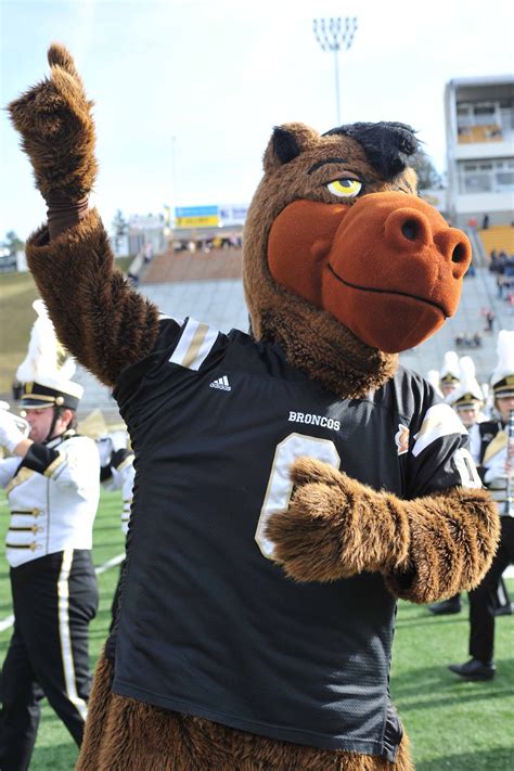 Buster Bronco - WMU Mascot | Western michigan university, Kalamazoo michigan, Broncos football