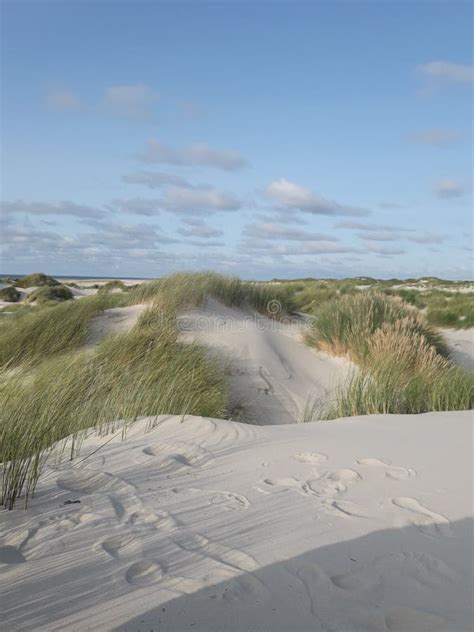 Amrum beach stock image. Image of bench, relaxing, architecture - 103813473