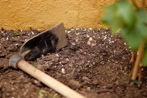 How to Test Your Perth Garden Soil for Nutrient Deficiencies