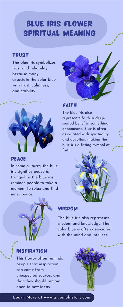 Blue Iris Symbolism (Top 14 Meanings) - Give Me History