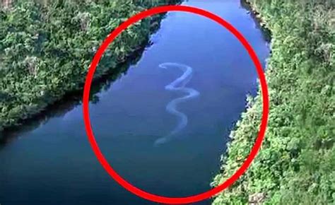 Picture Of 100ft-long 'snake' Sparks Fears Of Mythical Monster - Amar Ujala Hindi News Live - इस ...