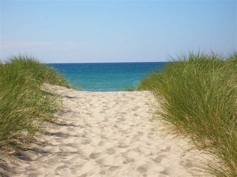 Beach Path. stock image. Image of ocean, trail, beach - 5995811