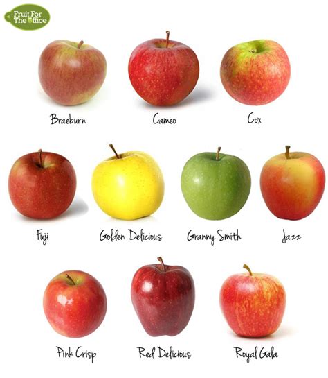 apple varieties | How Many Are There