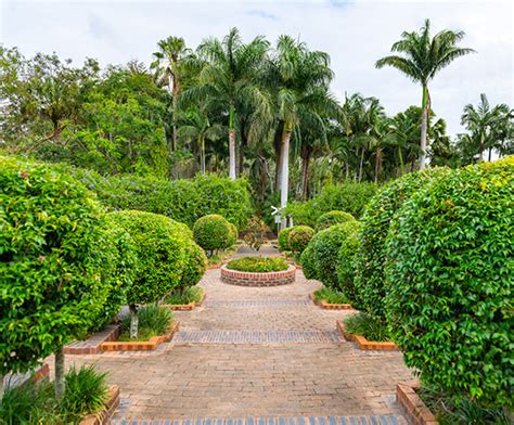 Bundaberg Botanic Gardens – Discover Bundaberg