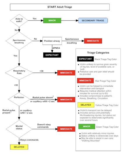 START, SALT, and RAMP Triage in a Mass Casualty Event - Crisis Medicine