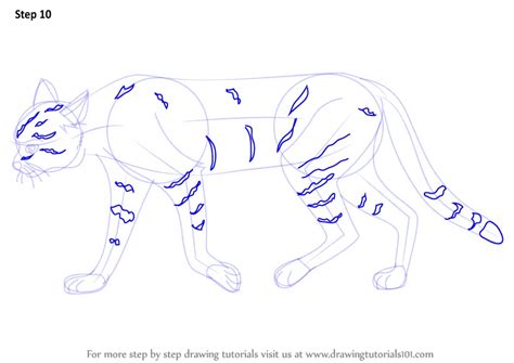 Learn How to Draw an African Wildcat (Wild Animals) Step by Step ...