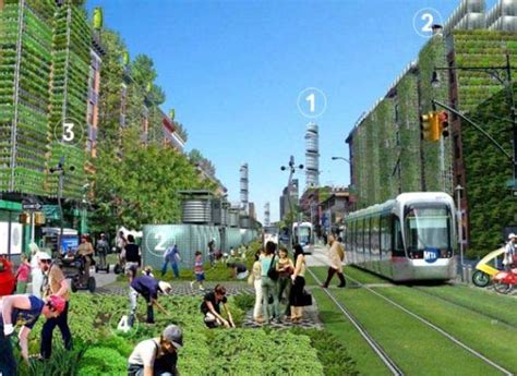 Green Ideas Turn New York City into Efficient Urban Farming Area