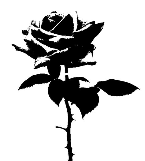 Rose Stencil by Generical on DeviantArt