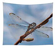 Abstract Dragonfly Photograph by Cynthia Guinn - Pixels