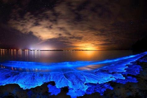 This Glow-In-The-Dark Beach In Maldives Has Sea Of Stars To Swoon You ...