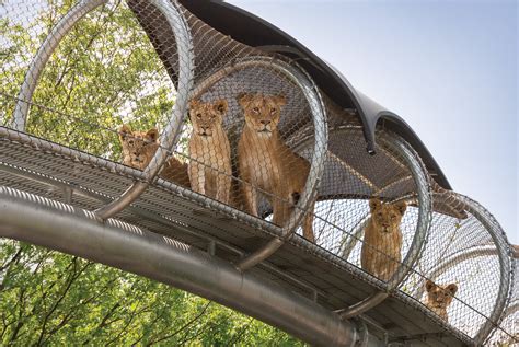 Philadelphia Zoo Reopens - 8 Things to Know