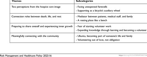 Photovoice Themes and Subcategories | Download Scientific Diagram